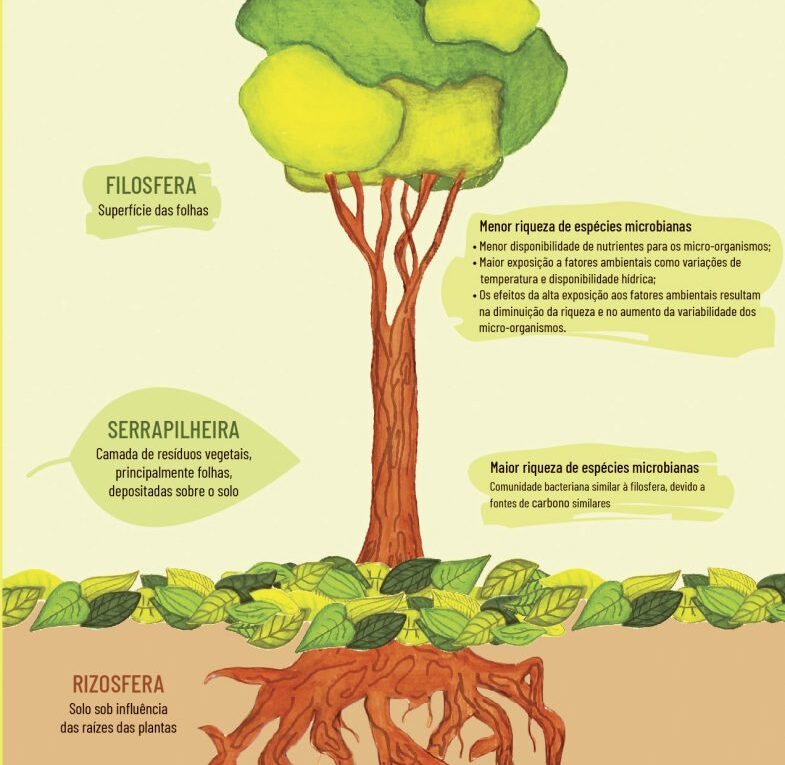 O que é a Filosfera?